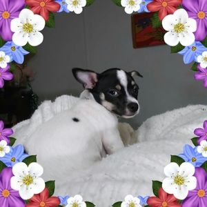 Meet your Posher, Connie